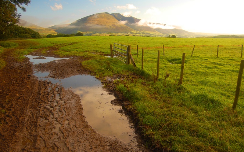 Photograph of Puddle
