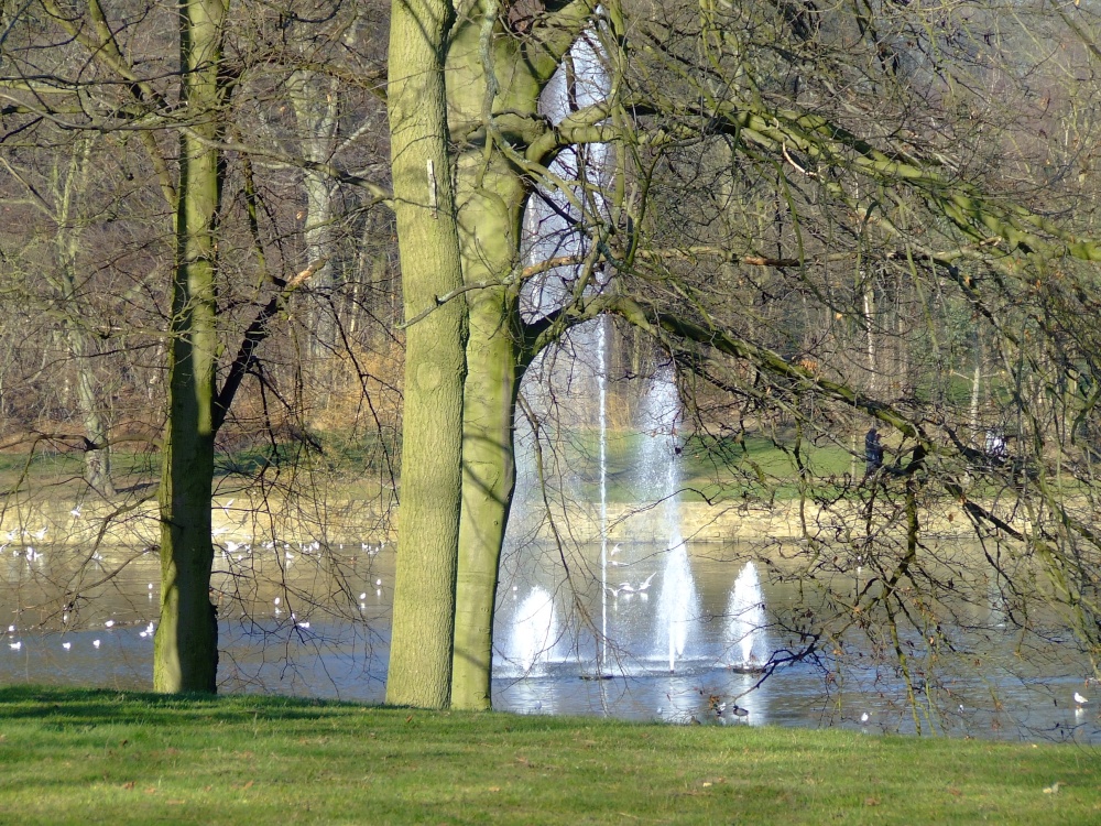 The fountain, Roundhay Park, Leeds.