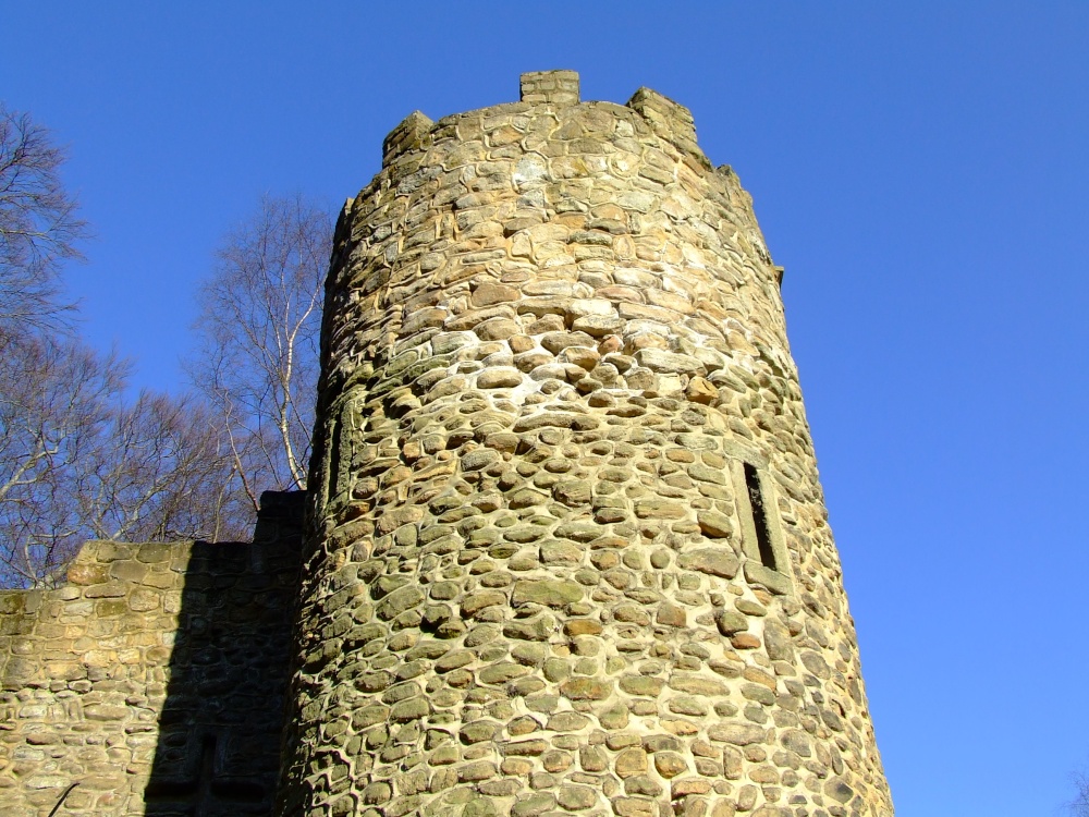 A little surprise in Roundhay park.