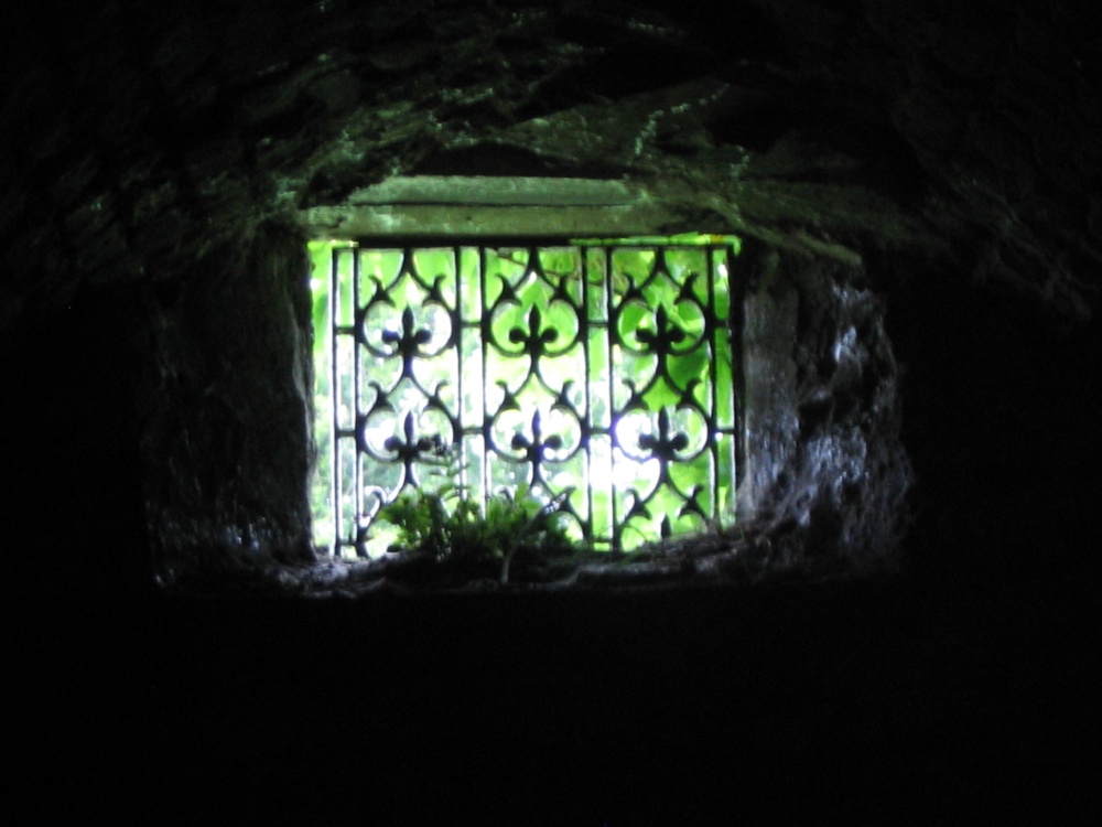 Cellarium window