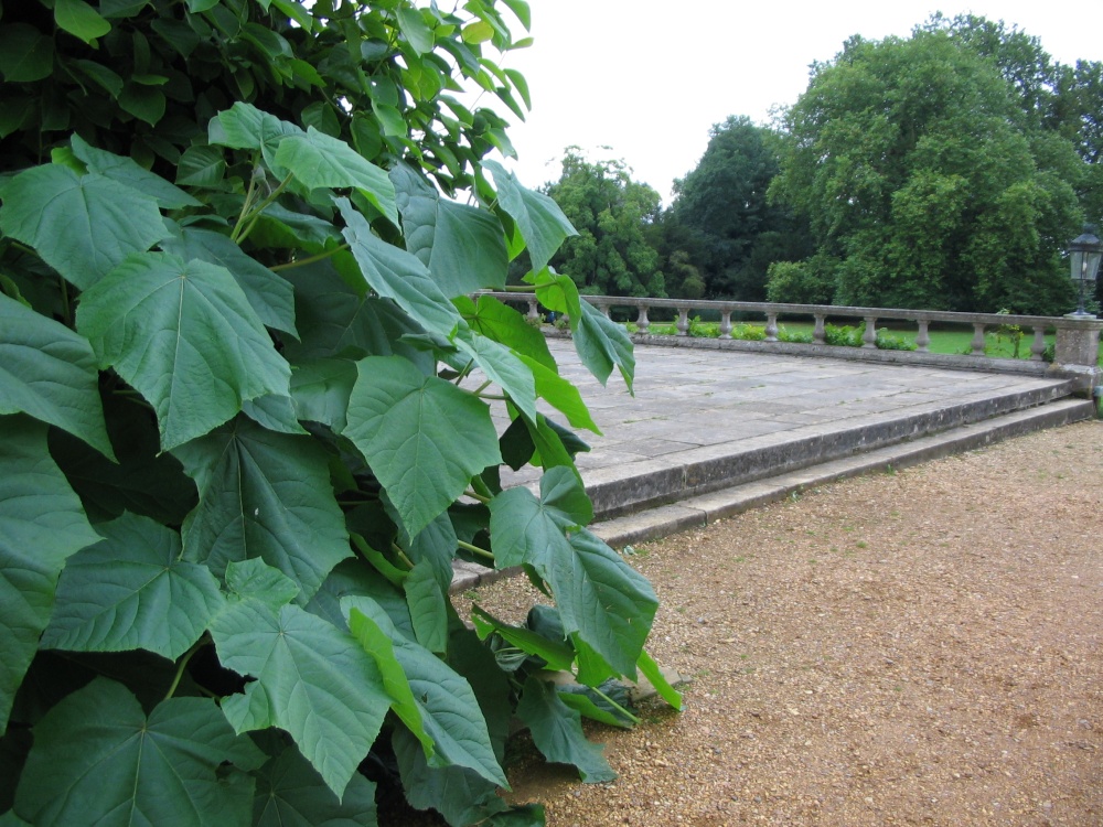 Mottisfont Abbey Garden