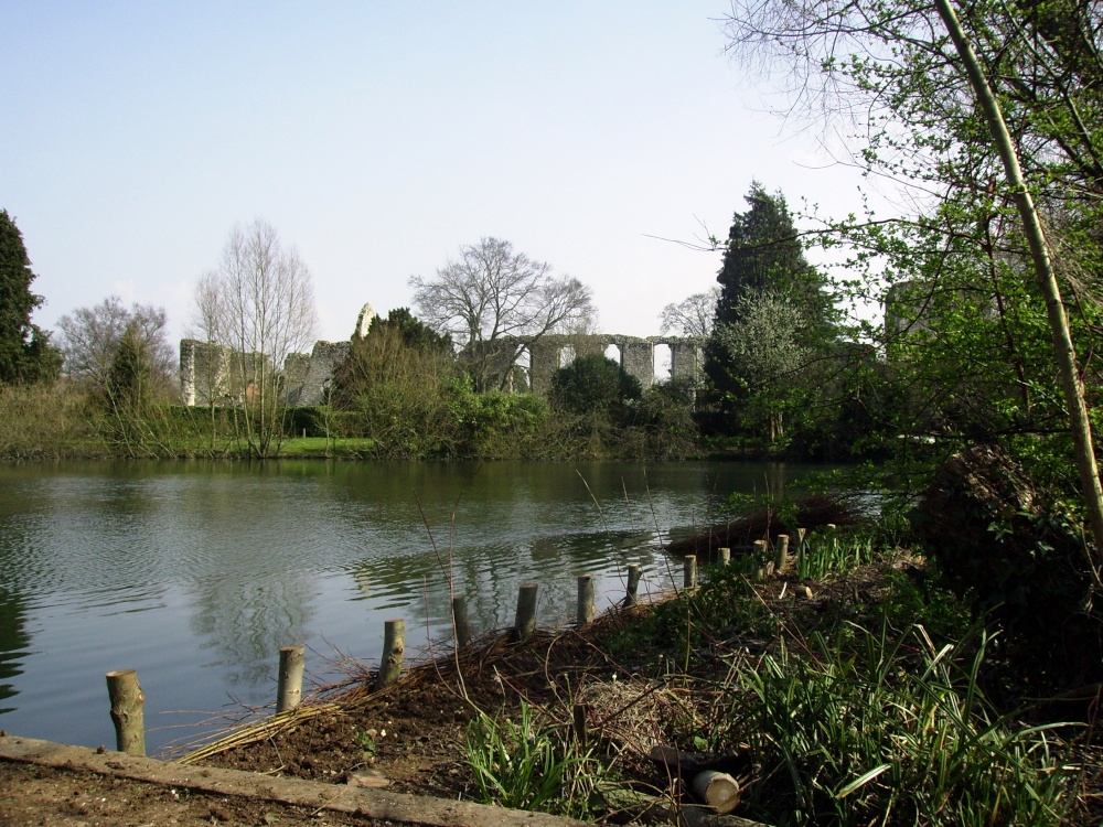 Photograph of Priory Pond, Bishop's Waltham