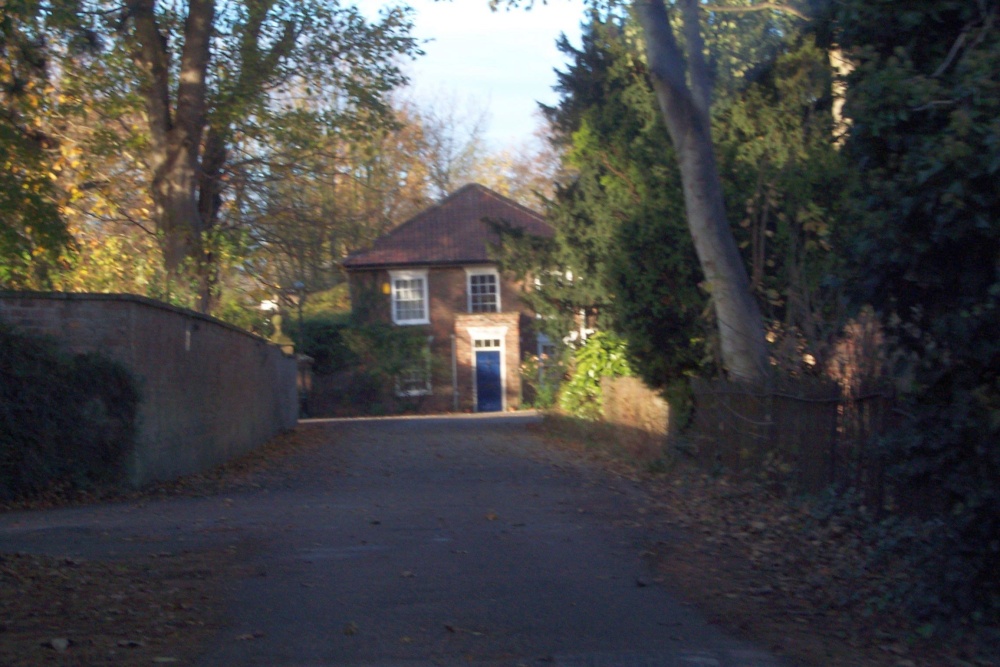 House at the End of the Alley