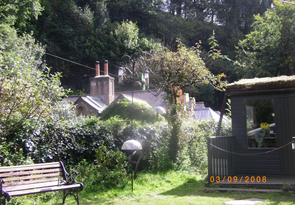 The gardens photo by Barbara Whiteman