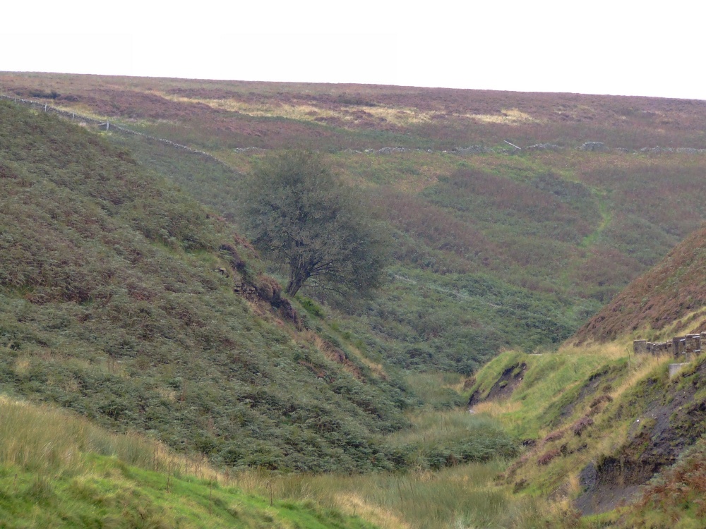 Early autumn colours