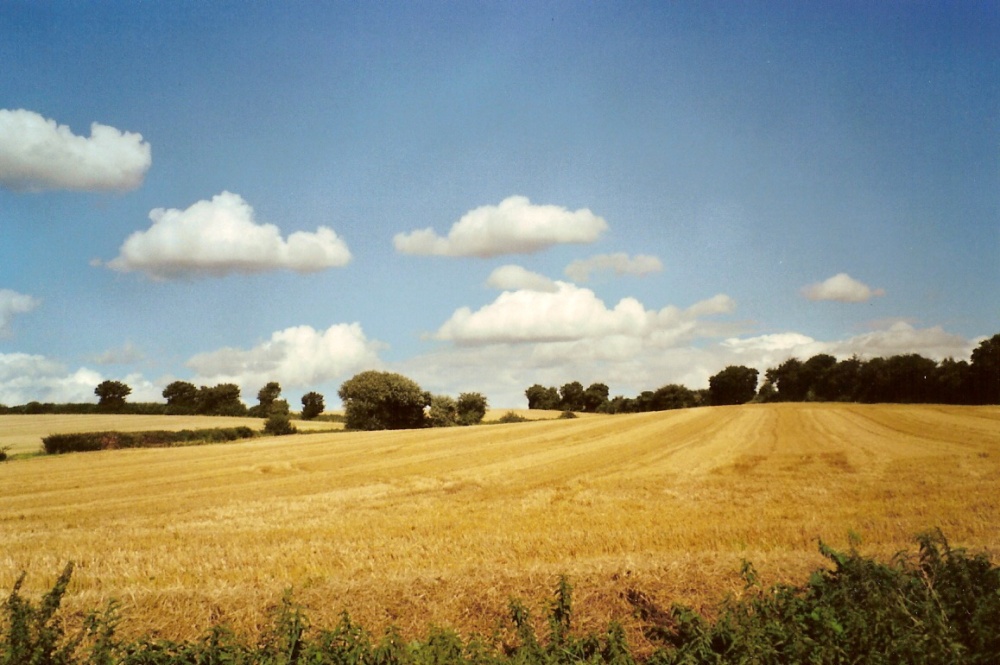 Photograph of Landscape near Lavenham