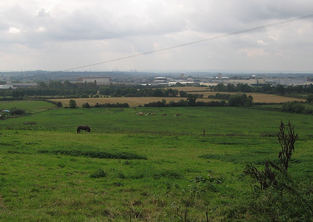 A walk in Shotover Country Park, Oxford