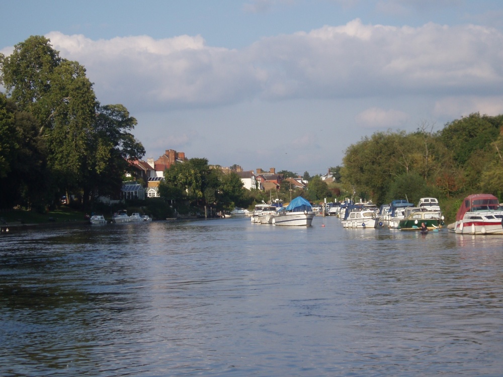 The River Thames from Flower Pot Green.