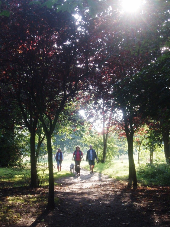 A Summer's day at last!