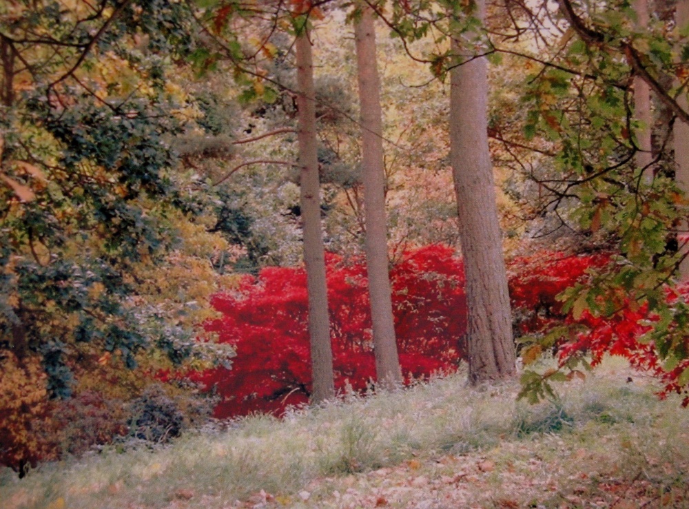Photograph of Autumn in the Cotswolds