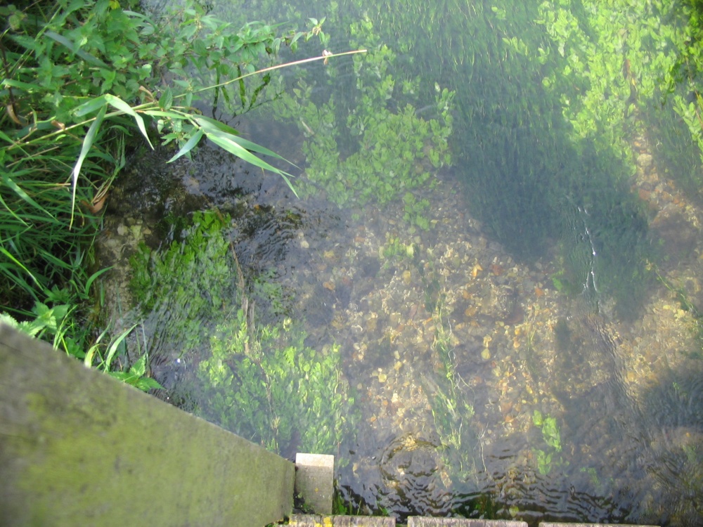 Looking directly into the stream