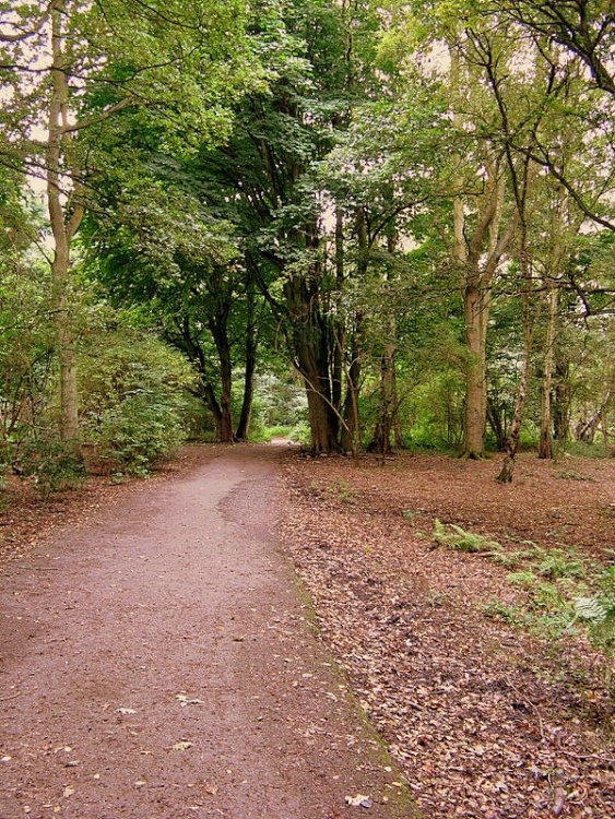 Coombe Abbey Country Park