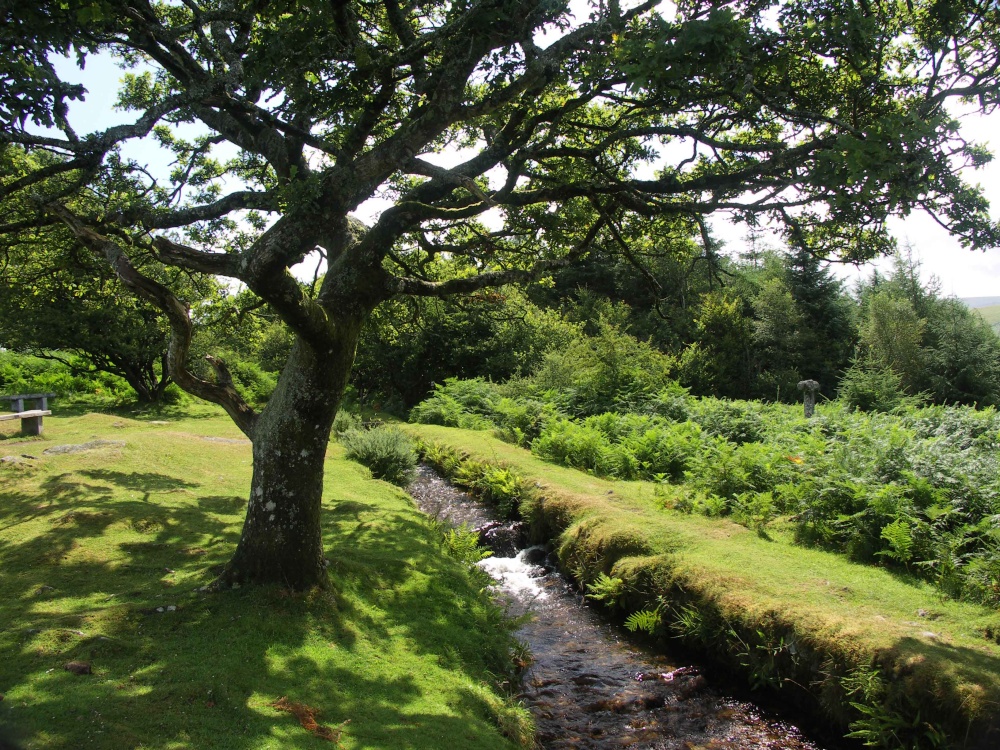 Burrator Reservoir, Devon photo by David Long