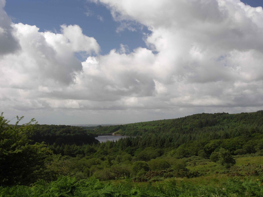 Burrator Reservoir, Devon photo by David Long