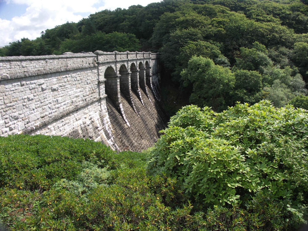 Burrator Reservoir, Devon photo by David Long