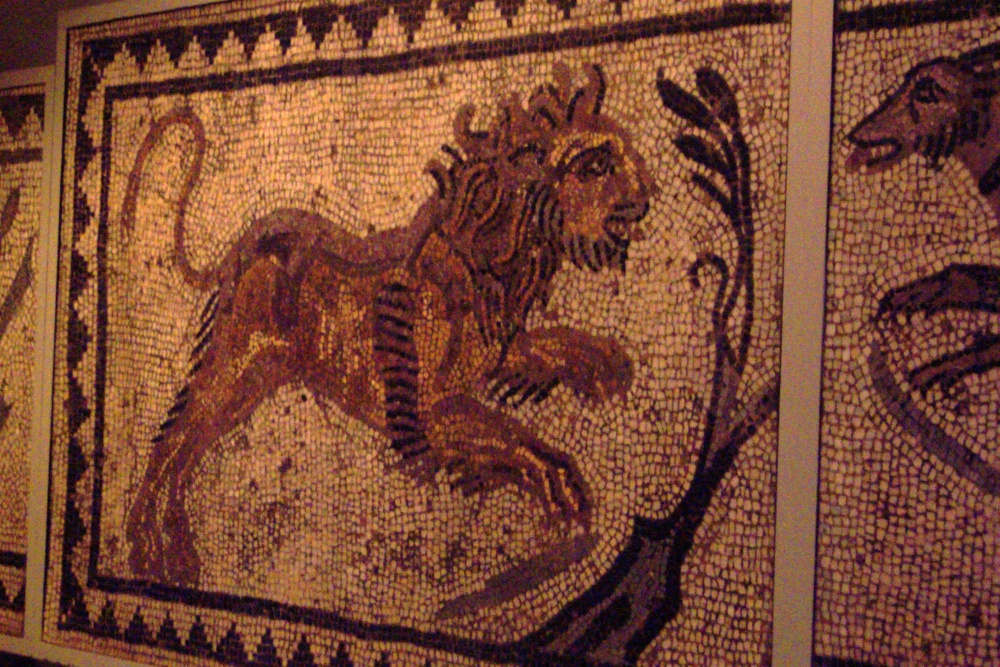 Roman Lion Mosaic