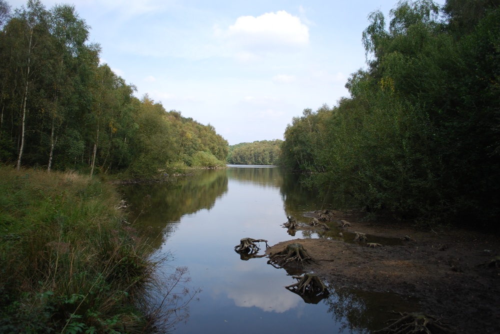 Foremark Reservoir