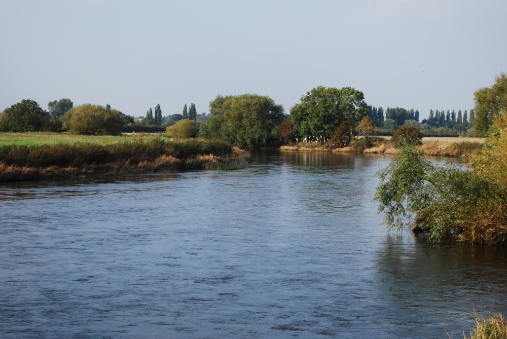 Photograph of River Trent at Ingleby
