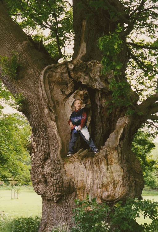 Isaac's Tree
