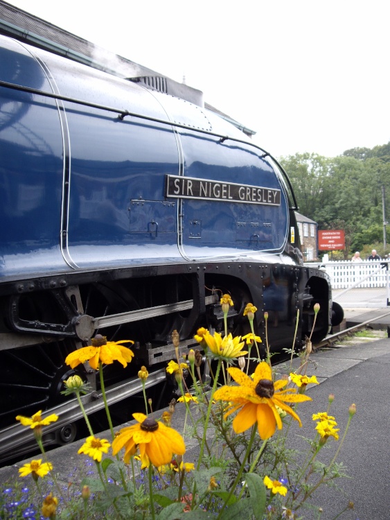 The Sir Nigel Gresley