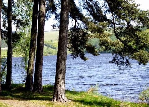 Photograph of Tunstall Reservoir at Wolsingham