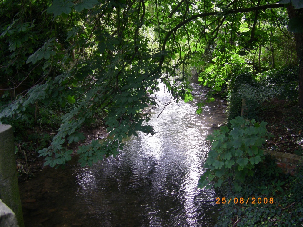 Photograph of River