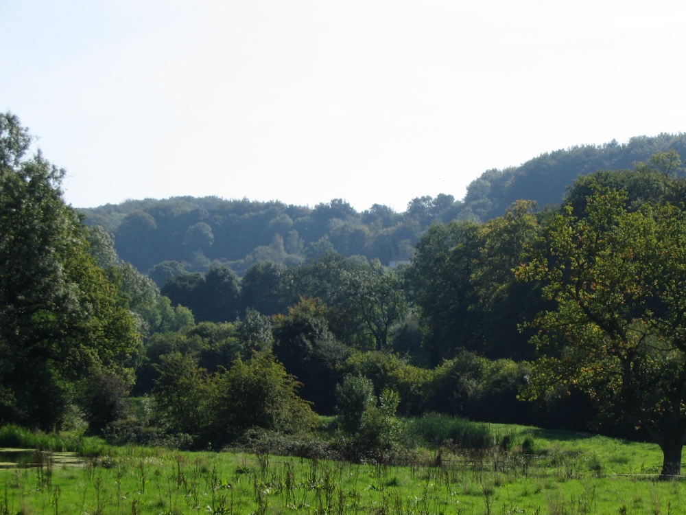 Selbourne - looking toward The Hangar