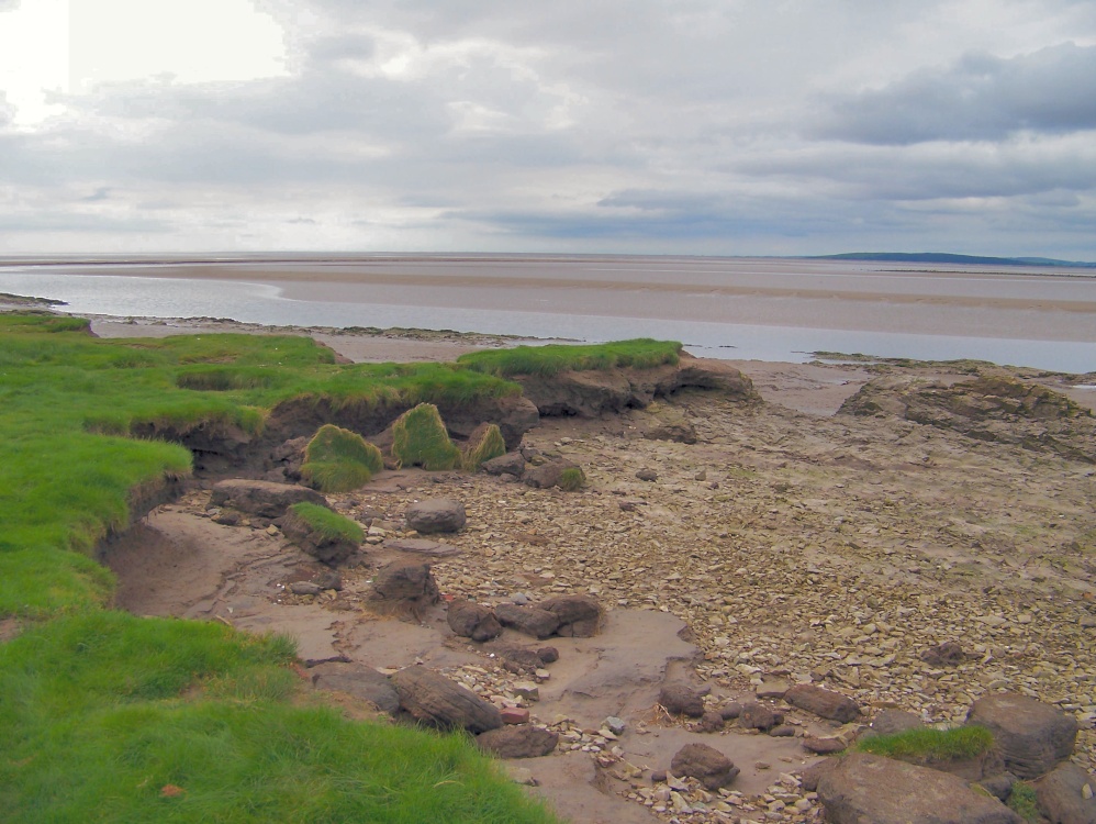 Saltmarsh, Silverdale photo by Barry Whitworth