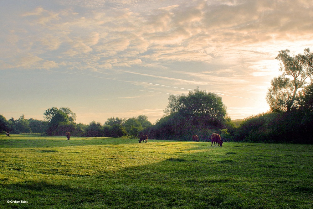 Shillingstone in Dorset