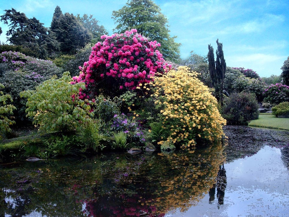 Photograph of Biddulph Grange Gardens