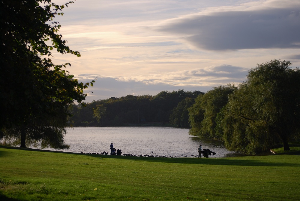 Himley Lake