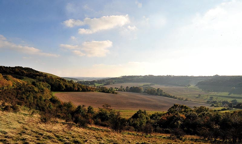 Walbury Hill, near Inkpen, Berkshire.