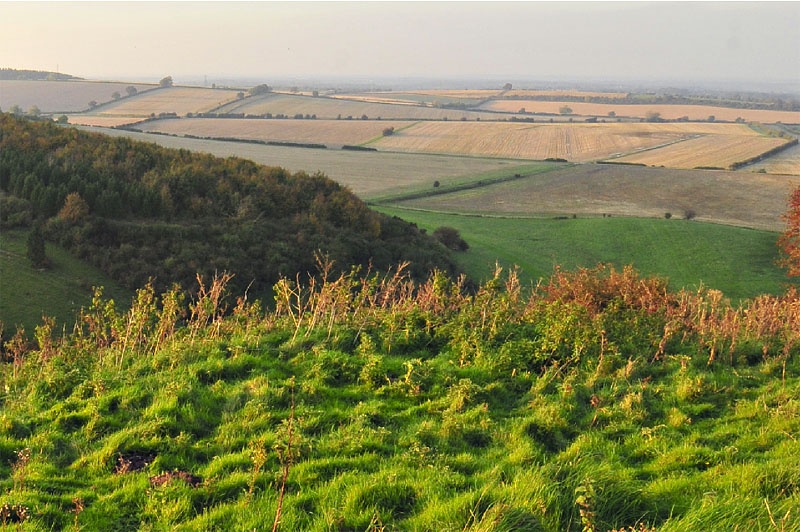 Kingsclere, Hampshire.