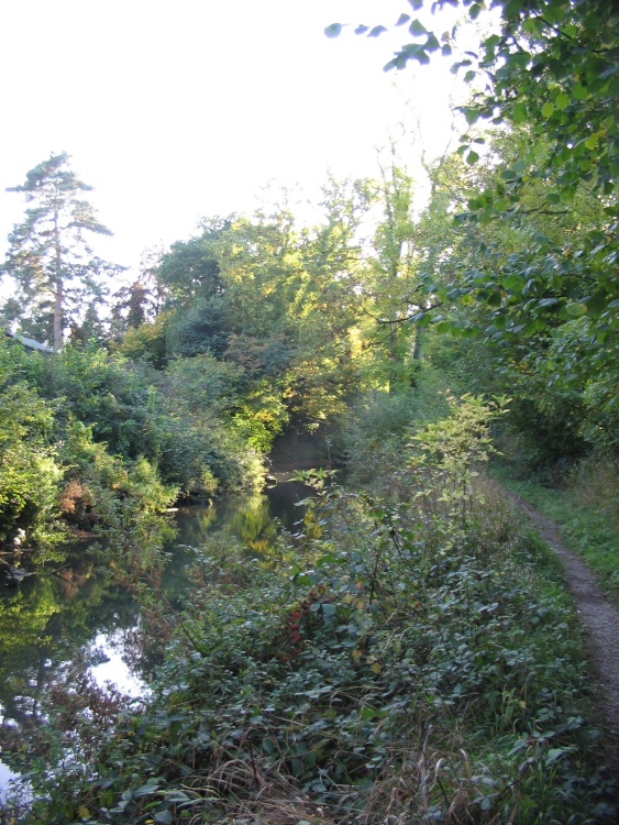 The Canal