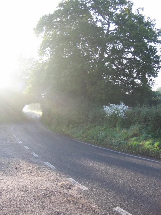 October early morning sun