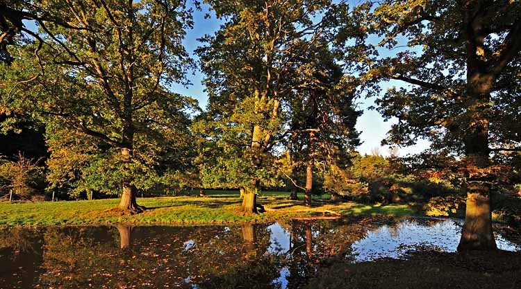 Bucklebury, Berkshire.