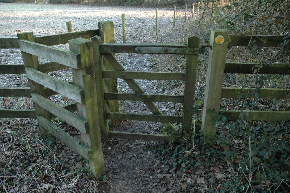 Stoke Park Wood, Dec 2005