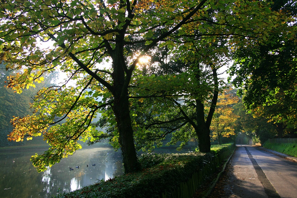 Lake by Church Lane, Gawsworth