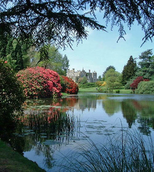 The lake at Sheffield Park