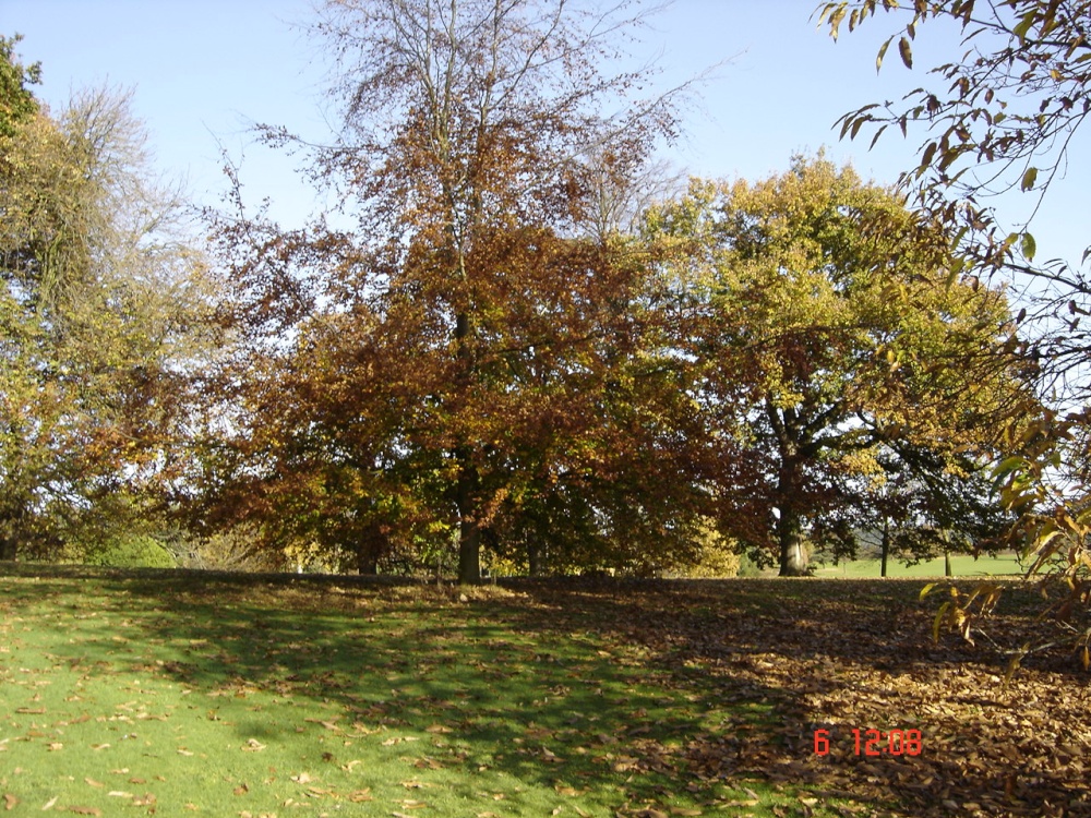 Photograph of Cawthorne Park, Barnsley
