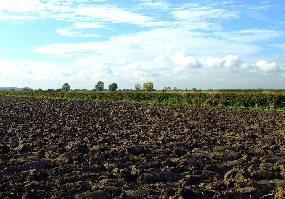 A ploughed field at Ellerker