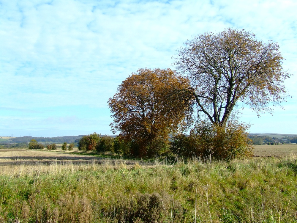 Autumn has arrived in Ellerker