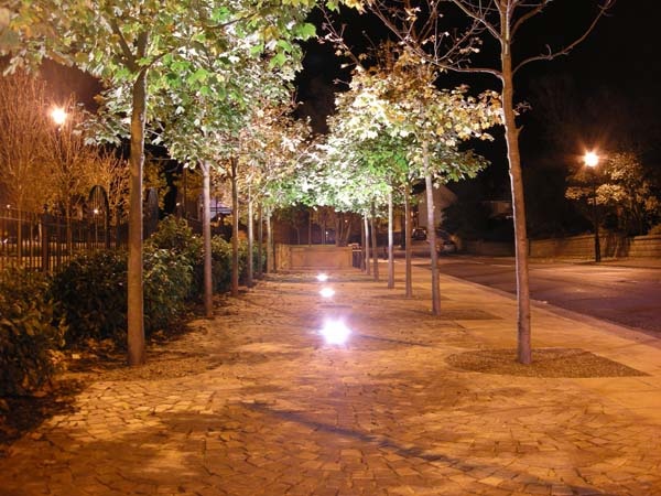 Croft gardens at night