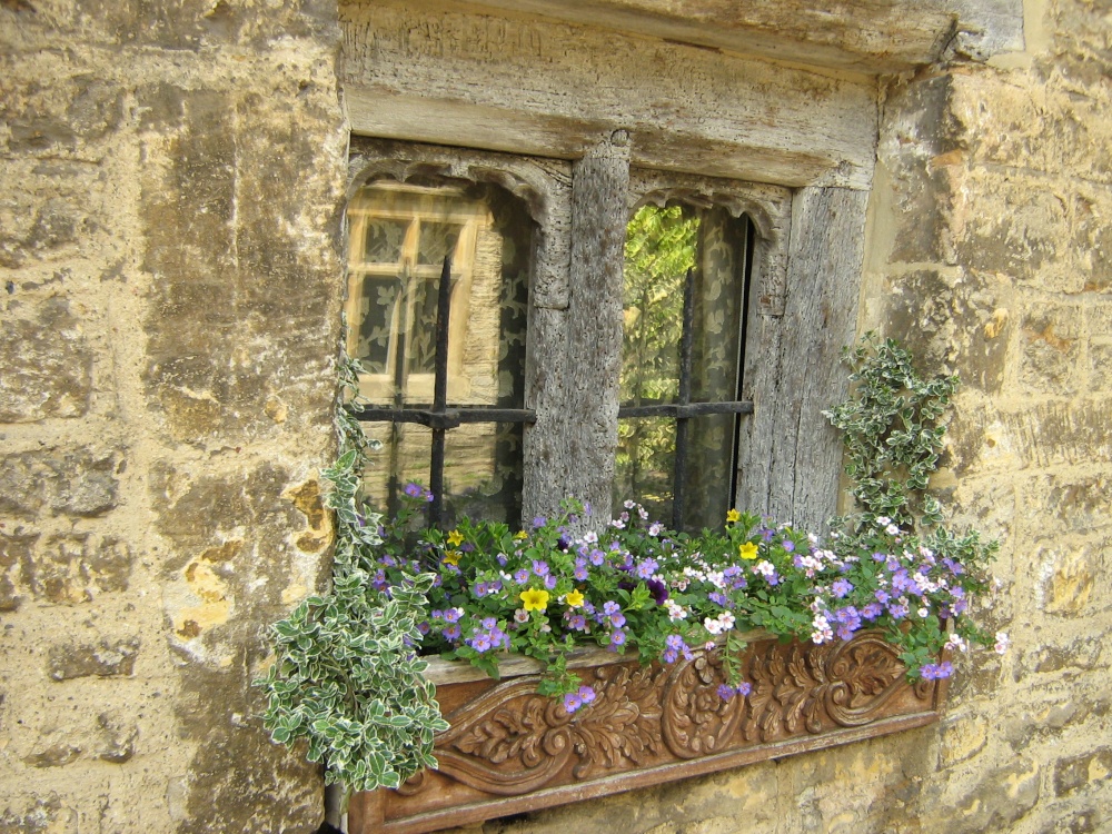 Photo of Castle Combe windowbox