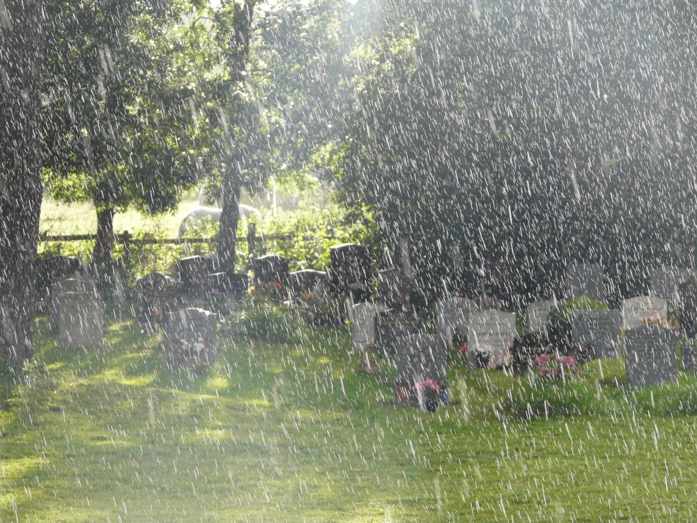 Photograph of Summer rain