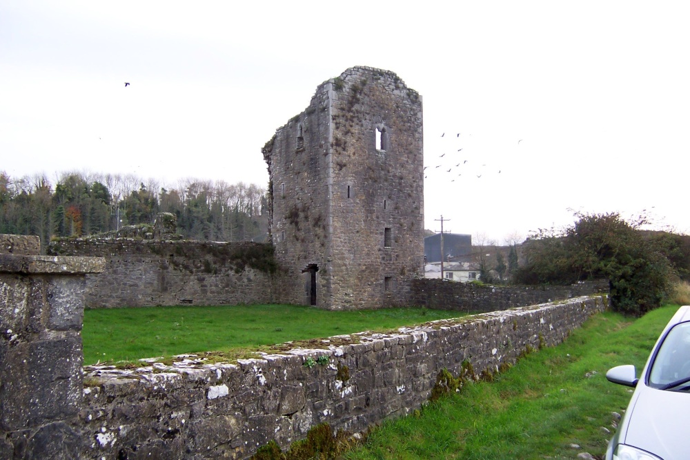 Ruin of Ballybeg Priory, Buttevant, County Cork