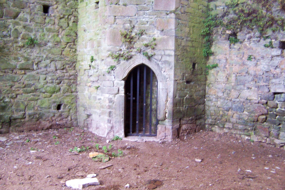 Tower Entrance at Ballybeg Priory