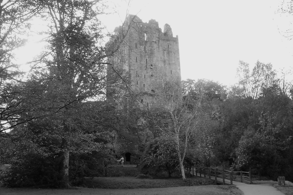 Approach to Blarney Castle