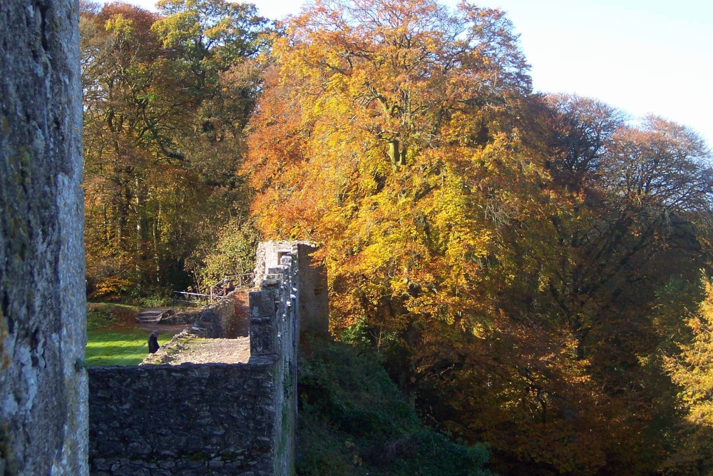 Battlements of Blarney Castle