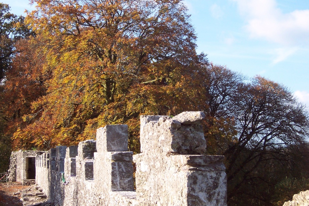 Blarney Battlements